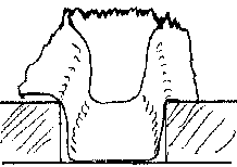 Pallet Root Cellar Liner Pallet Root Cellar Liner