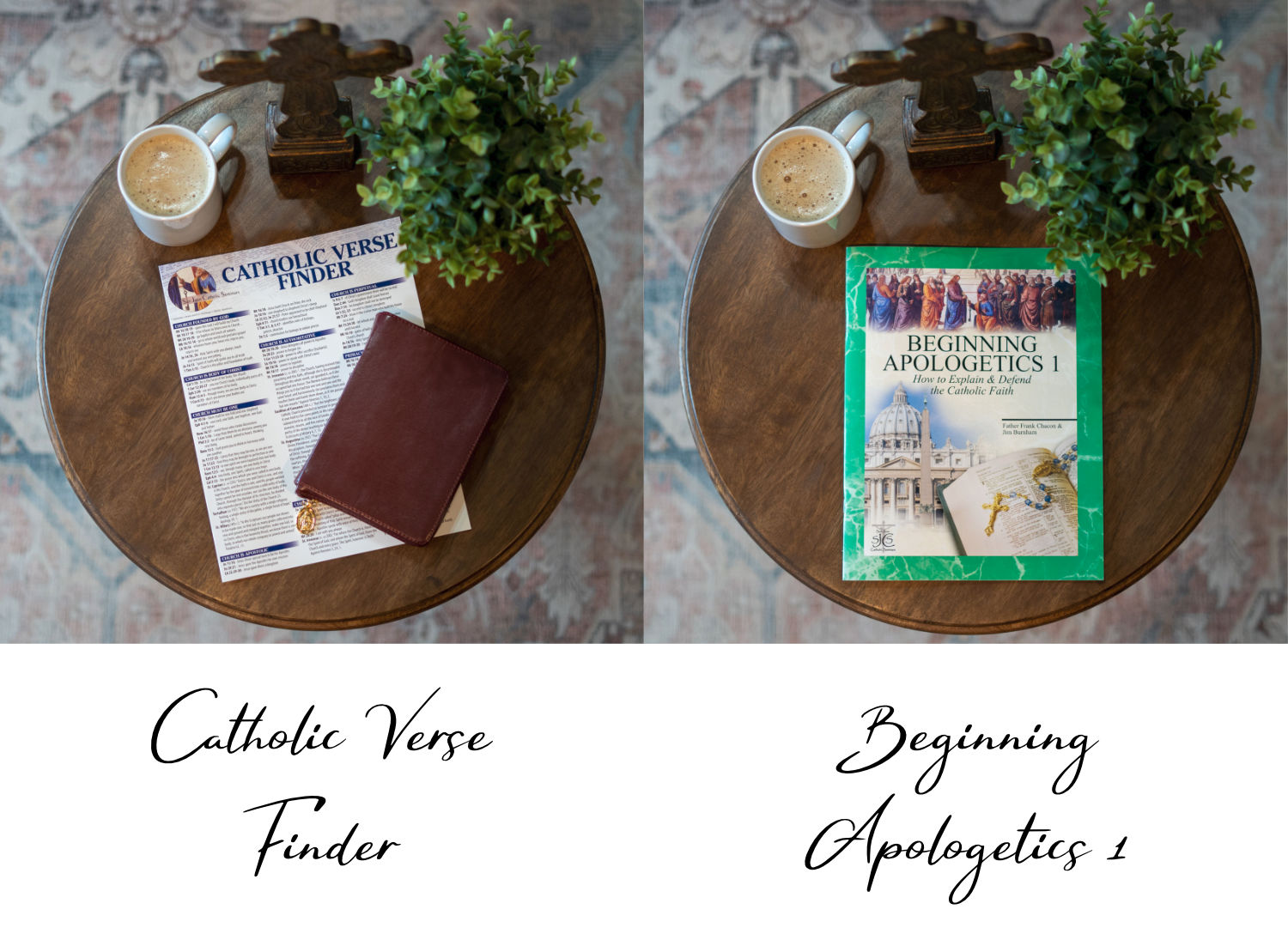 Perfect Catholic Graduation Gift - Apologetics