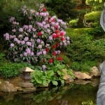 marysgarden3