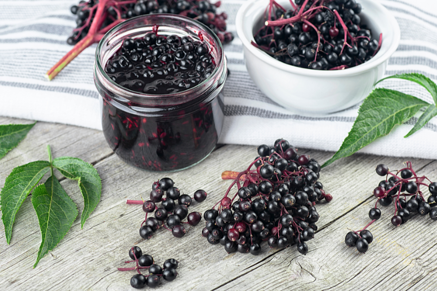 elderberry