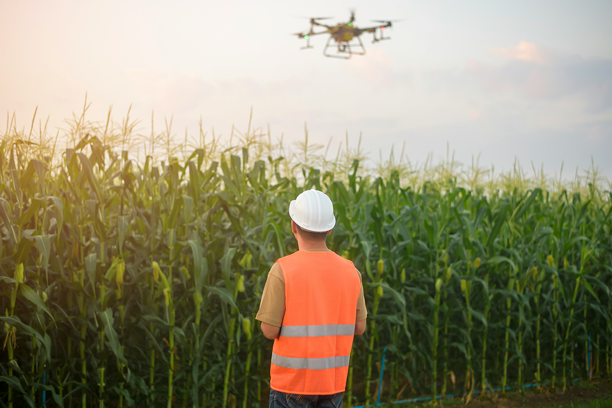 Agriculture Drone