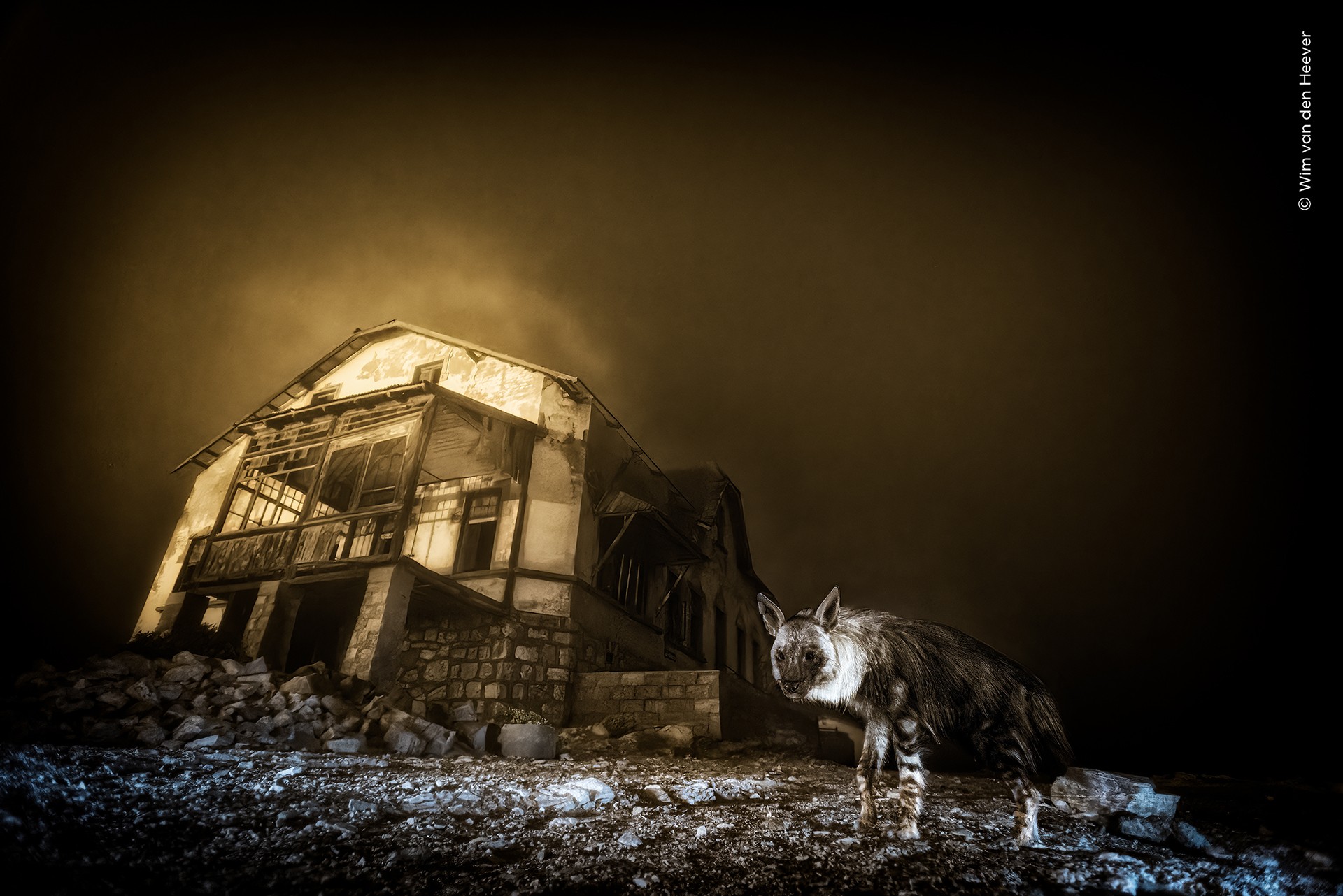 Wim van den Heever's image that made him won "Wildlife Photographer of 2025"