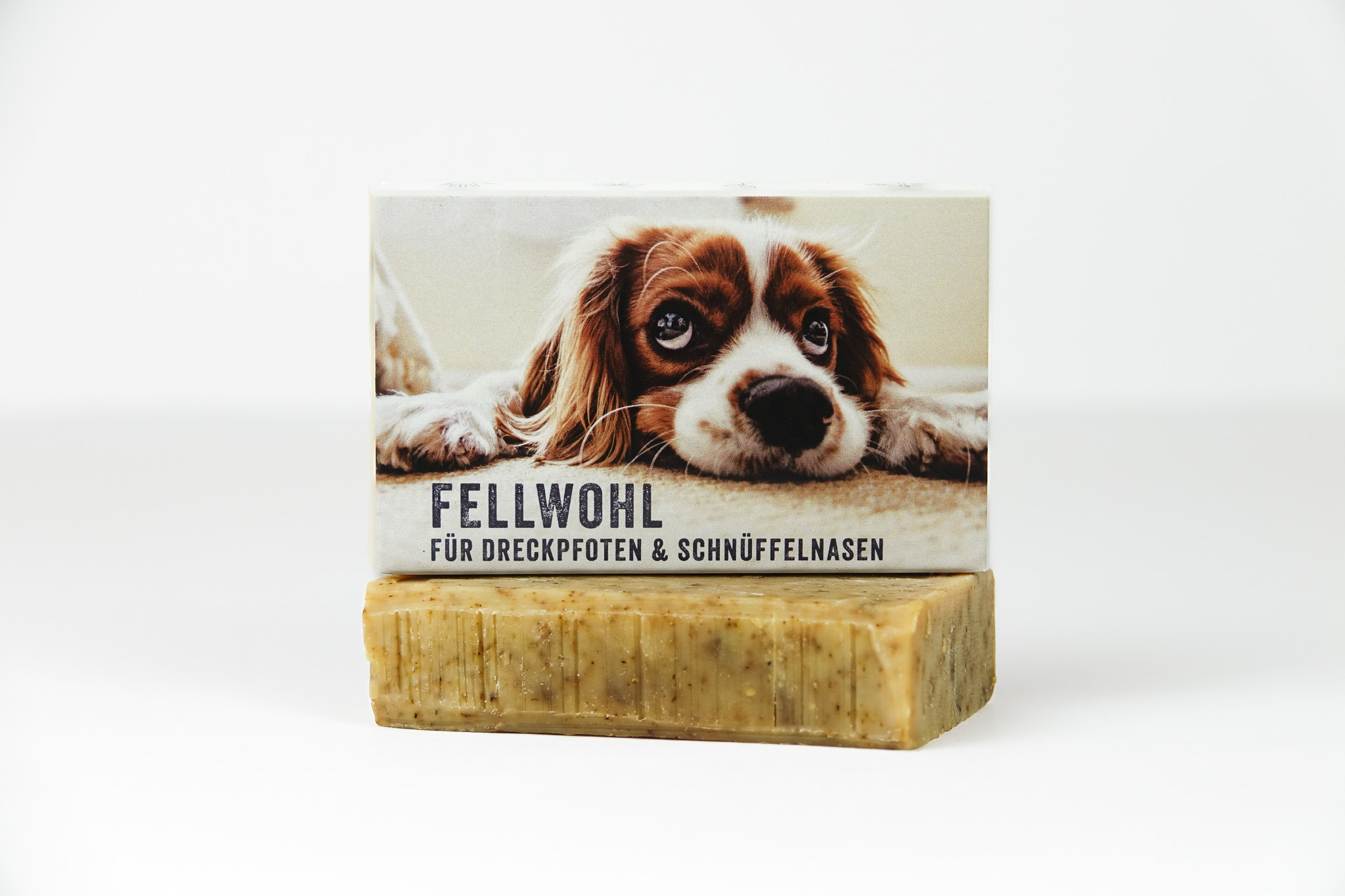 Hund auf der Verpackung, der auf dem Boden liegt 
