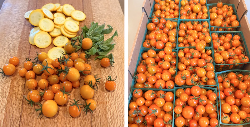 Summer Pasta - Sungolds, Squash and Basil