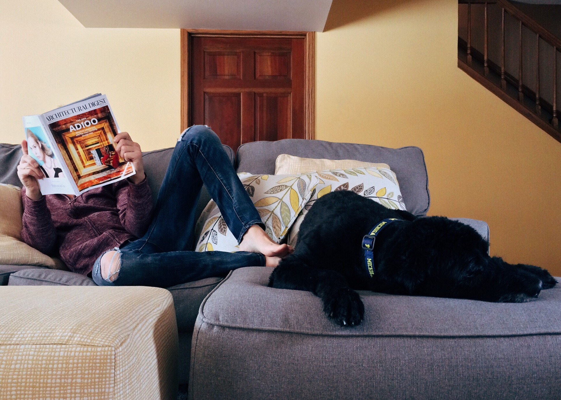 calming dogs during fireworks 