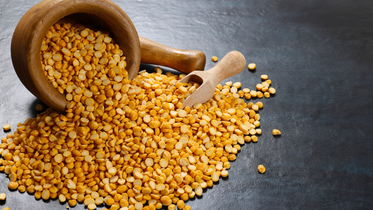 roasted chana dal