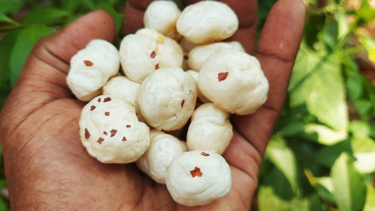 super food Mithila Makhana