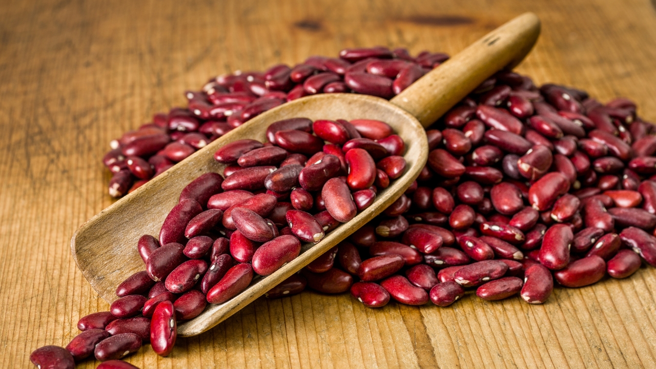 Rajma, Kidney Beans