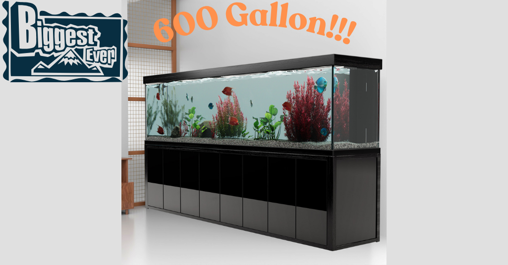 Shop Fish Tanks for Sale Fits Every Budget at AquaDreamUSA