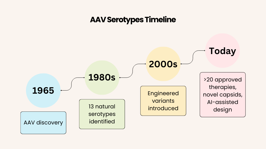 AAV serotypes timeline