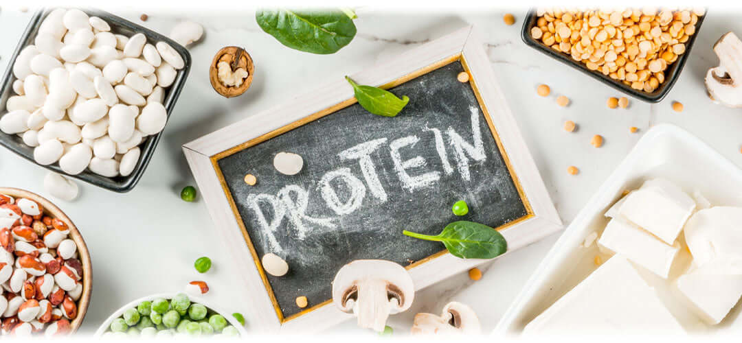 This image serves as the header for a blog post discussing plant-based protein sources and their benefits for a healthy diet