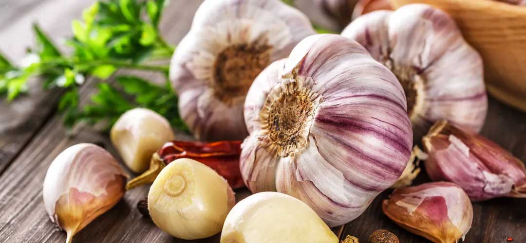 Garlic bulb on kitchen counter