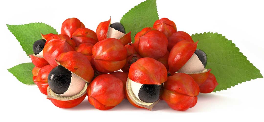 Guarana Seed