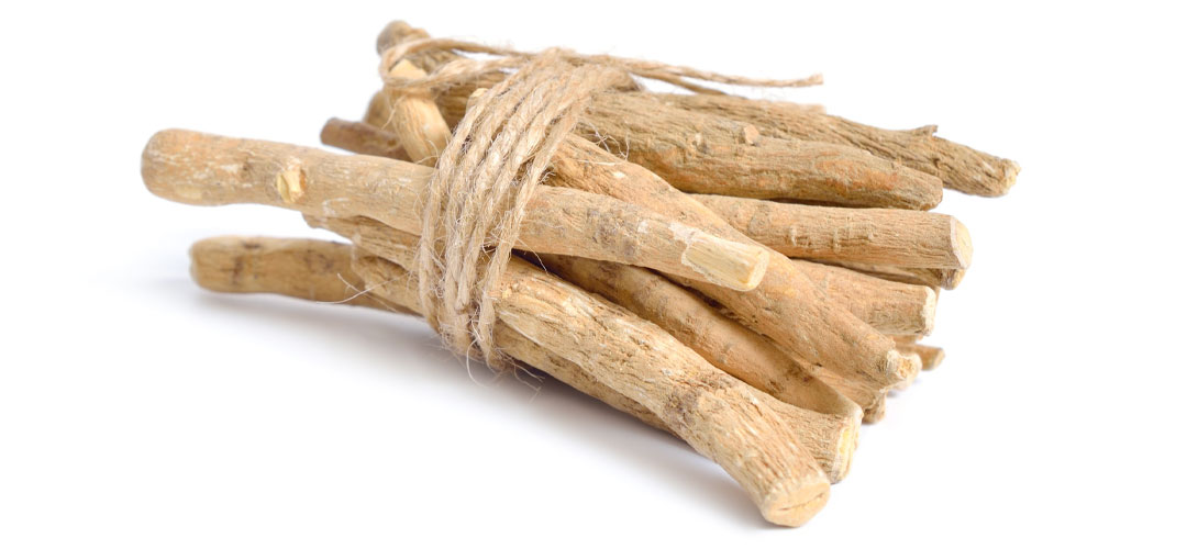 fresh Ashwagandh