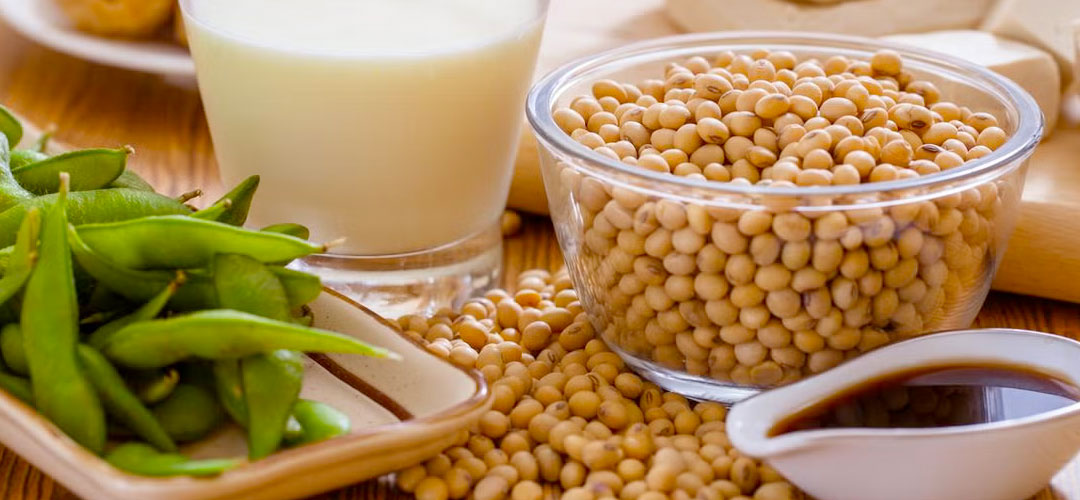 selection of items on a soya diet