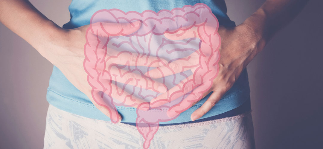 Healthy gut intestine