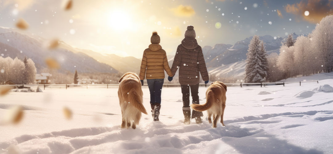 family-with-dog-walking-and-playing-in-snow
