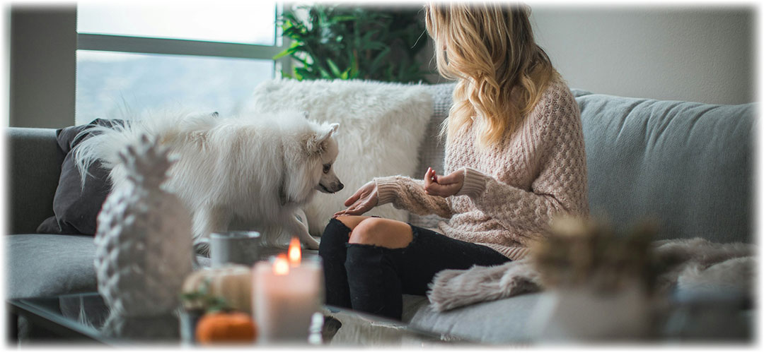 A blonde woman in a cozy sweater sits on a gray couch, interacting with a fluffy white dog in a warmly lit living room. Lily & Loaf promotes comfort and pet companionship.