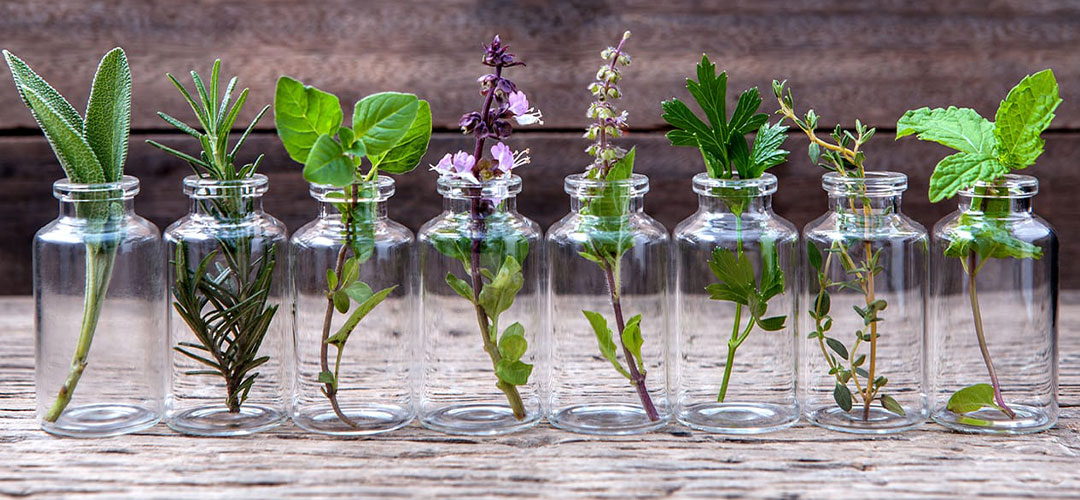 bottles with herbs