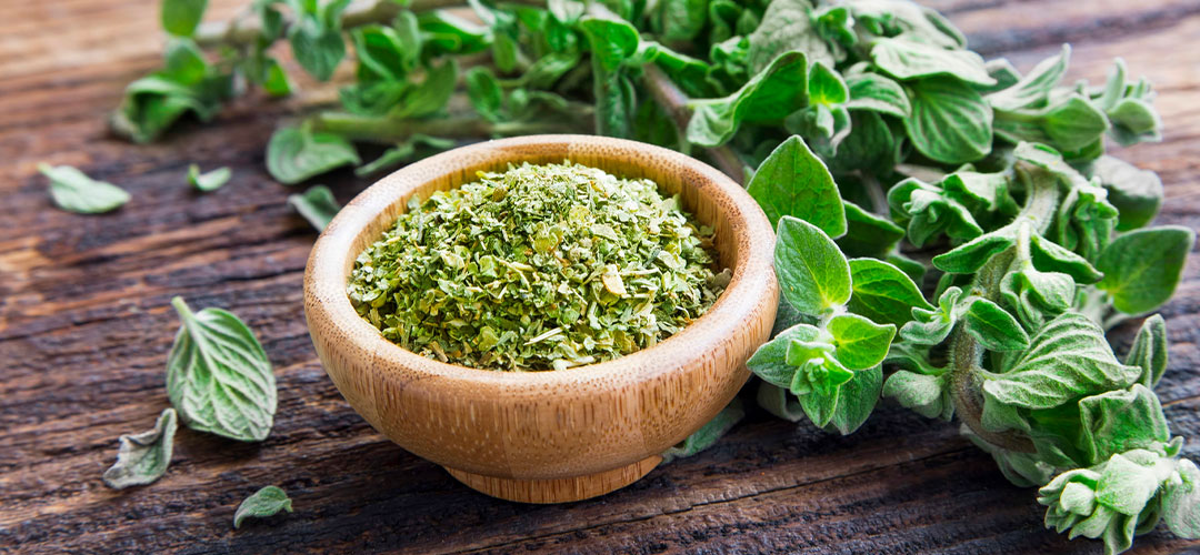 fresh and chopped Oregano