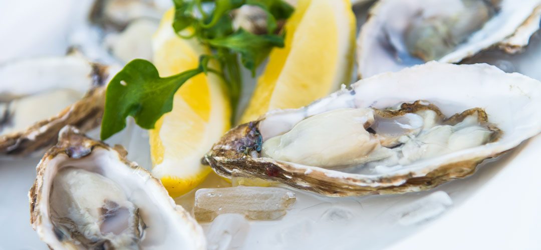 Oysters