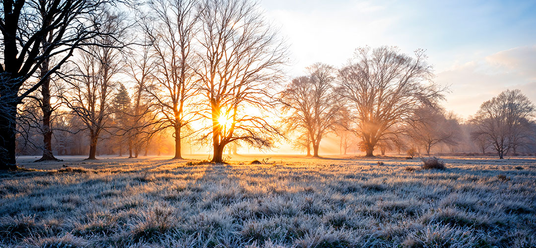 stunning-natural-landscape winter morning