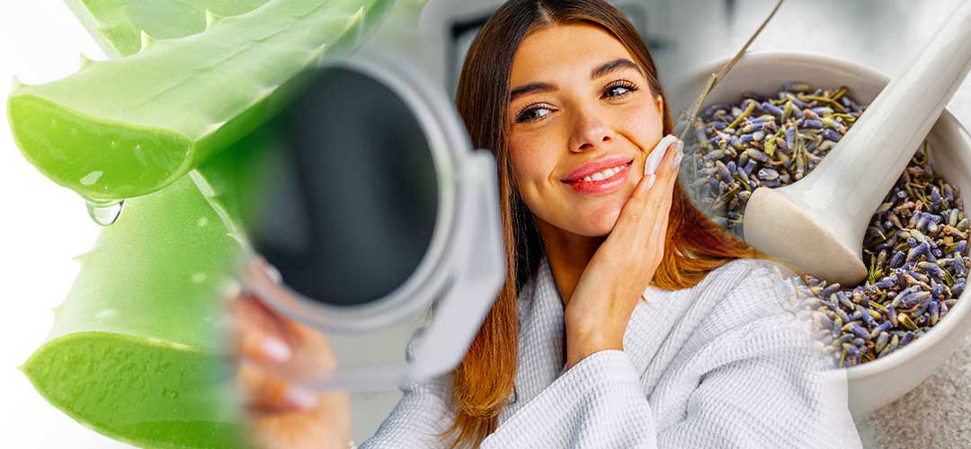 Essential oils  for skincare Aloe vera and lavender