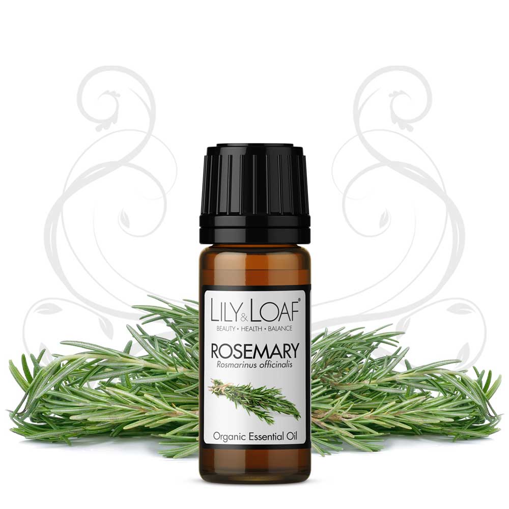 Lily & Loaf organic Rosemary essential oil bottle, surrounded by fresh rosemary sprigs, promoting health and balance.