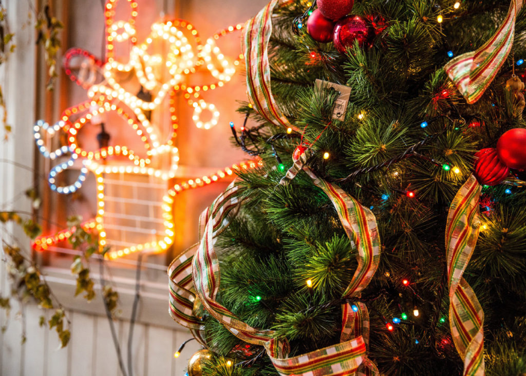 Christmas tree and lights