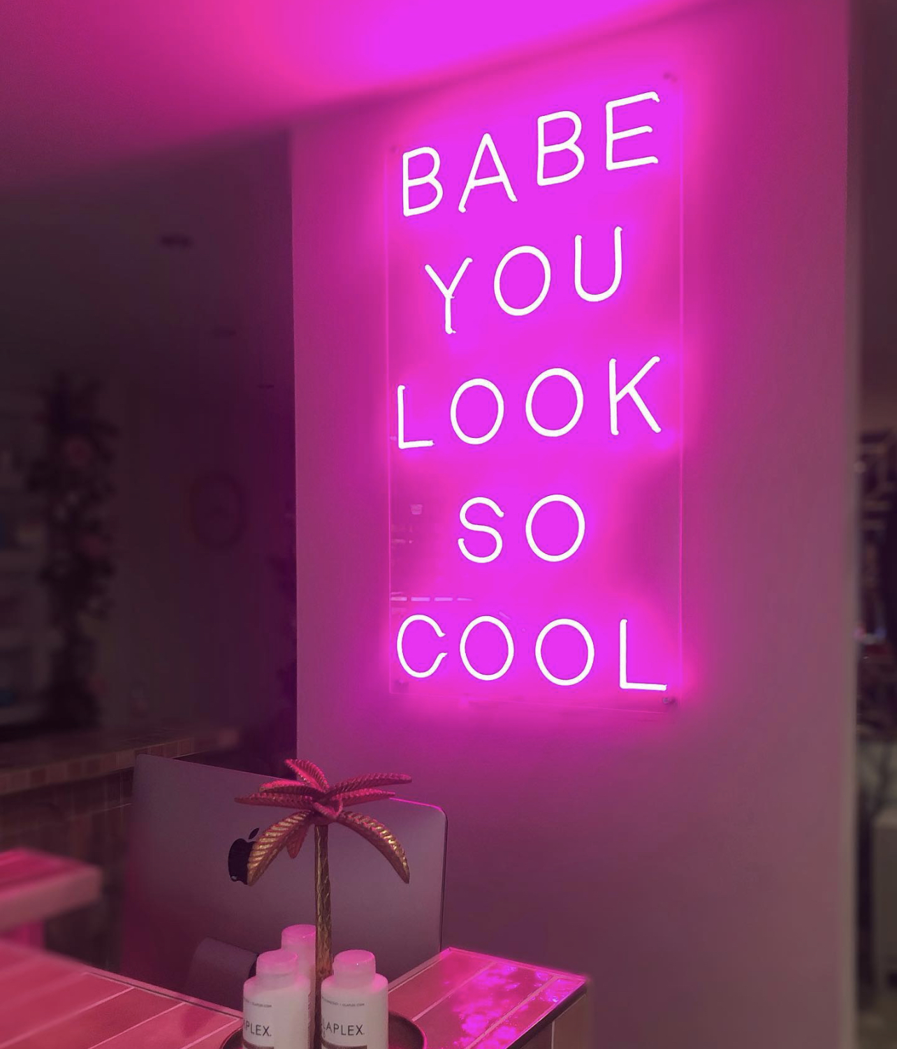 Wild Salon has pushed the boundaries of interior design