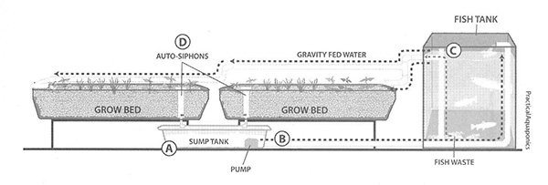 Aquaponic Plus Design