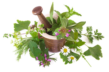 Grow your own medicinal herbs