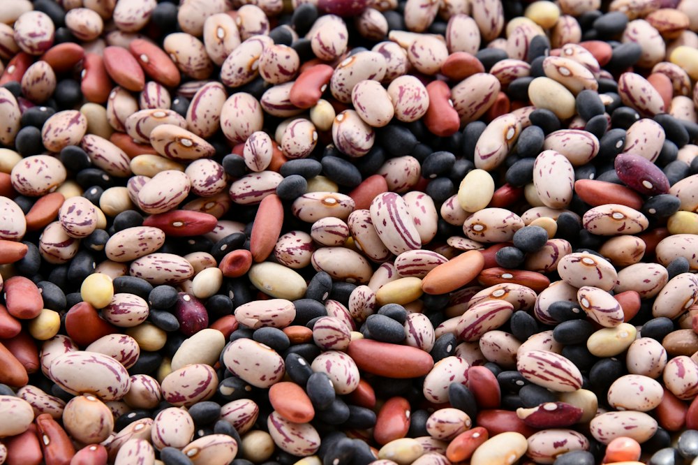 Saratoga Farms Pinto Beans