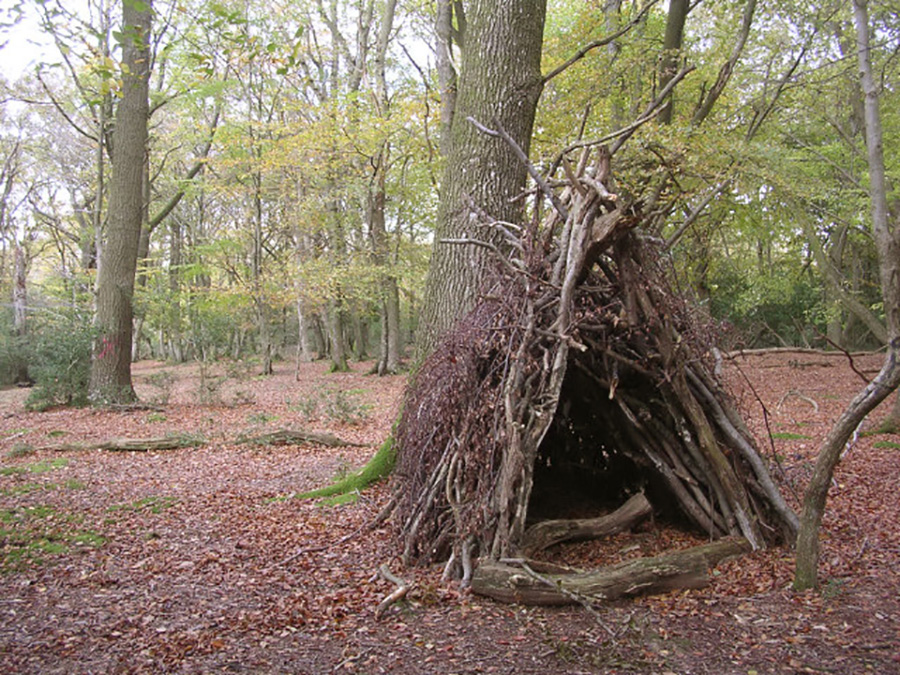 Building a shelter with a knife