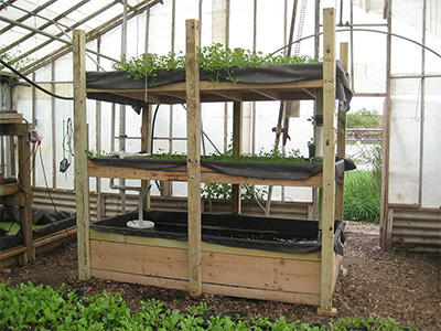 Aquaponic Gardening