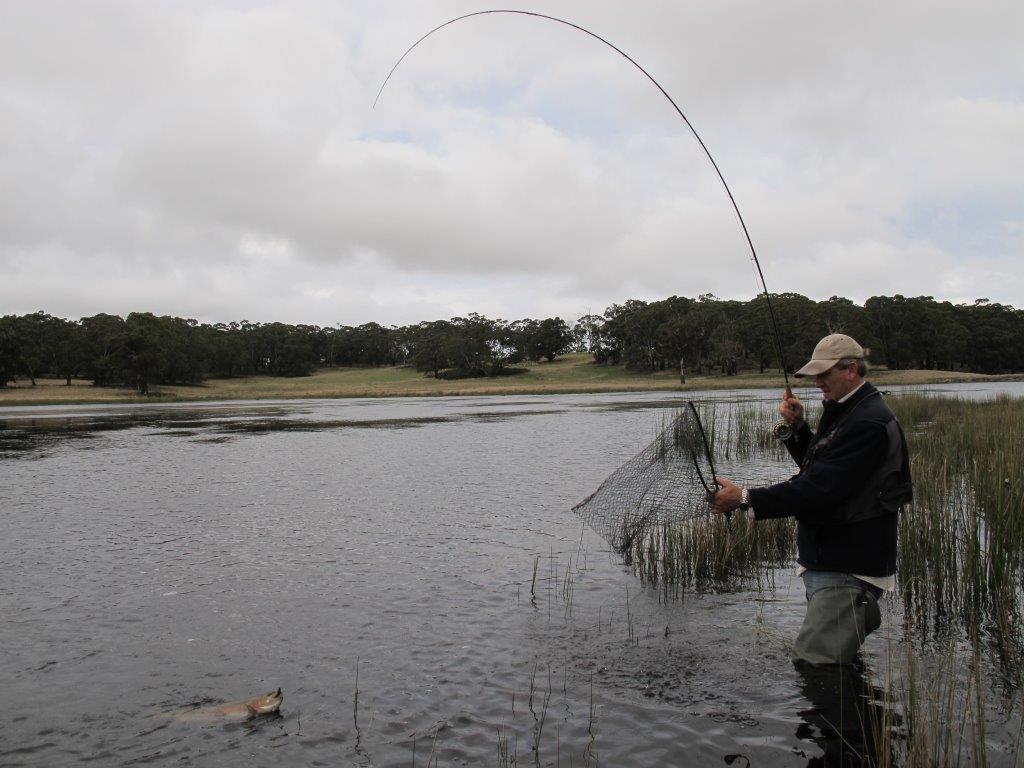 That's looking better; the trout's head is up and it looks beaten - Mark is still ready for a final lunge though.