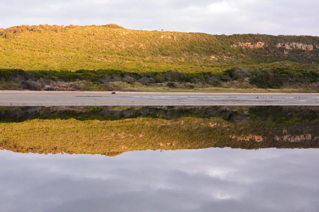 The estuaries looked perfect, but where were the bream?