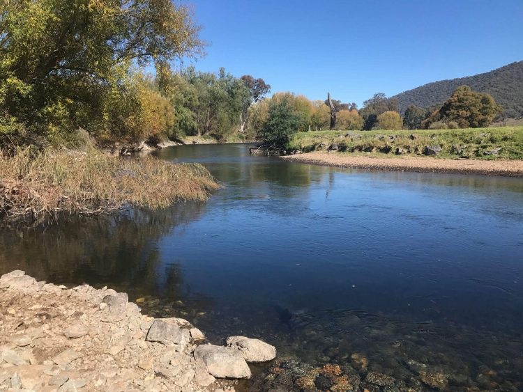 We're finding that the deeper, slower water down towards the tail end of the pool, can produce numbers of good trout to a nymph fished correctly.
