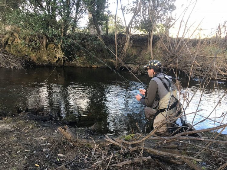 Expert angler Jonathon Stagg carefully nymphing a slow stretch of the St Patricks River, Tasmania.