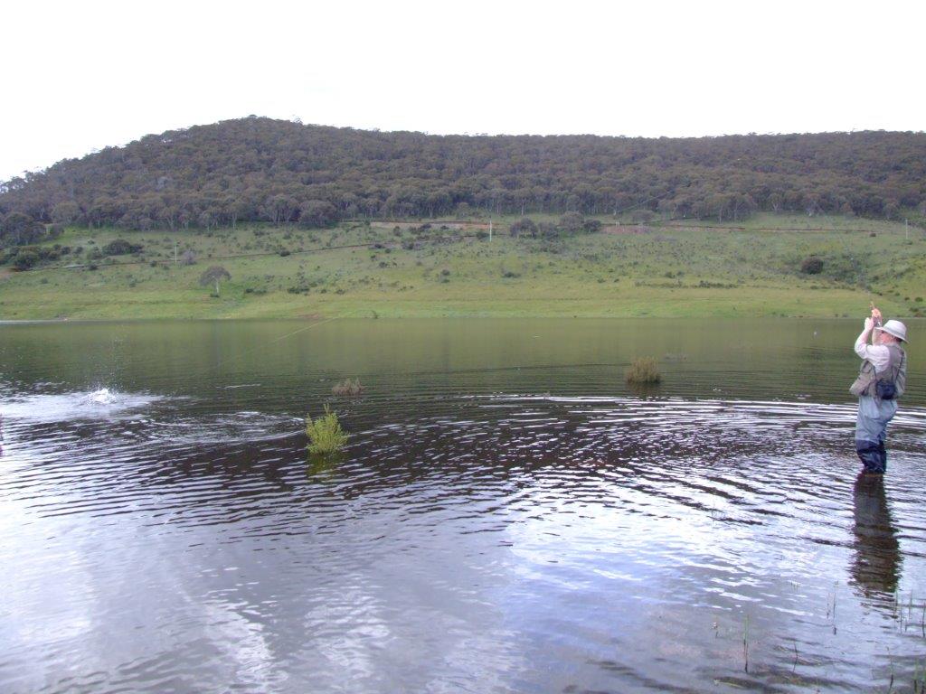 Steve had to chase this Tantangara floodwater feeder out into the lake to avoid getting snagged on the drowned bushes.