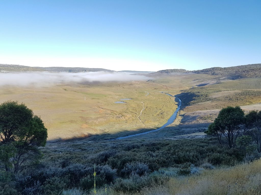 View over Kiandra at dawn