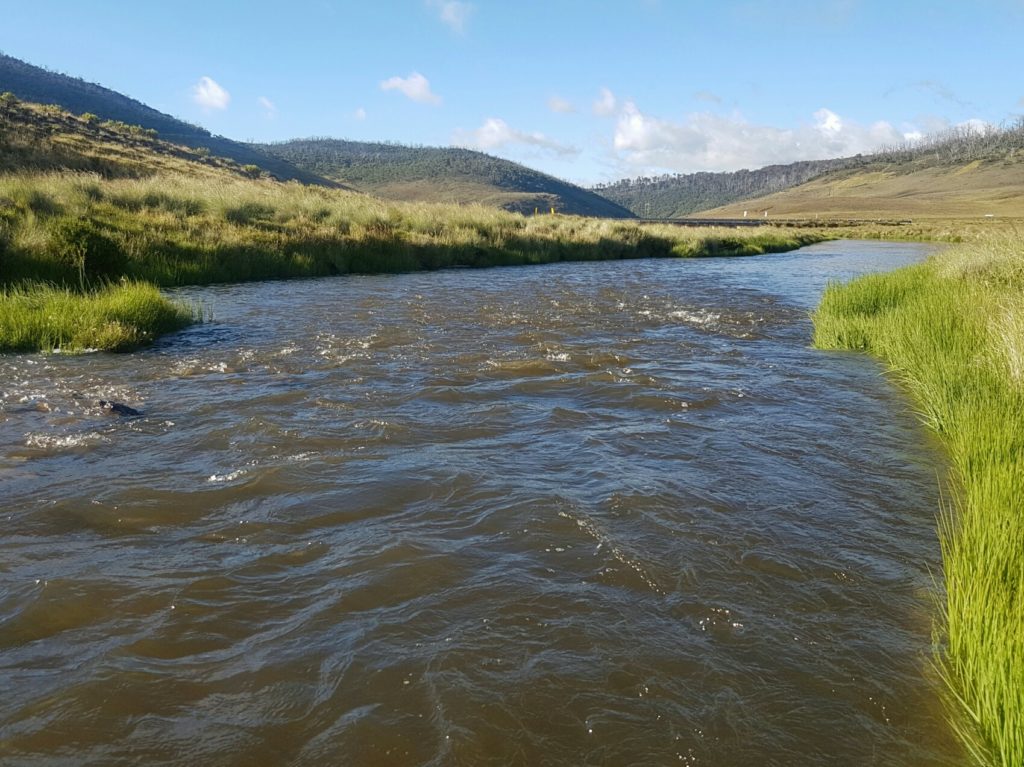 The Eucumbee in summer spate