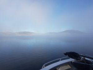 20170612_082032_resized