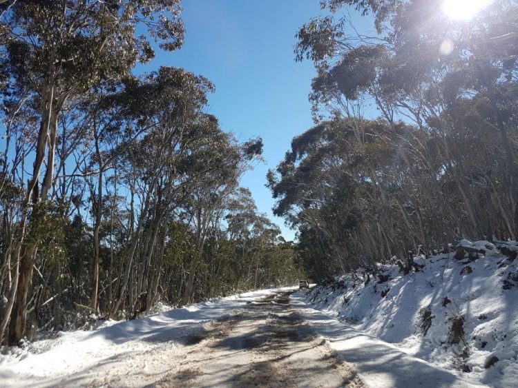 Tantangara road in the snow