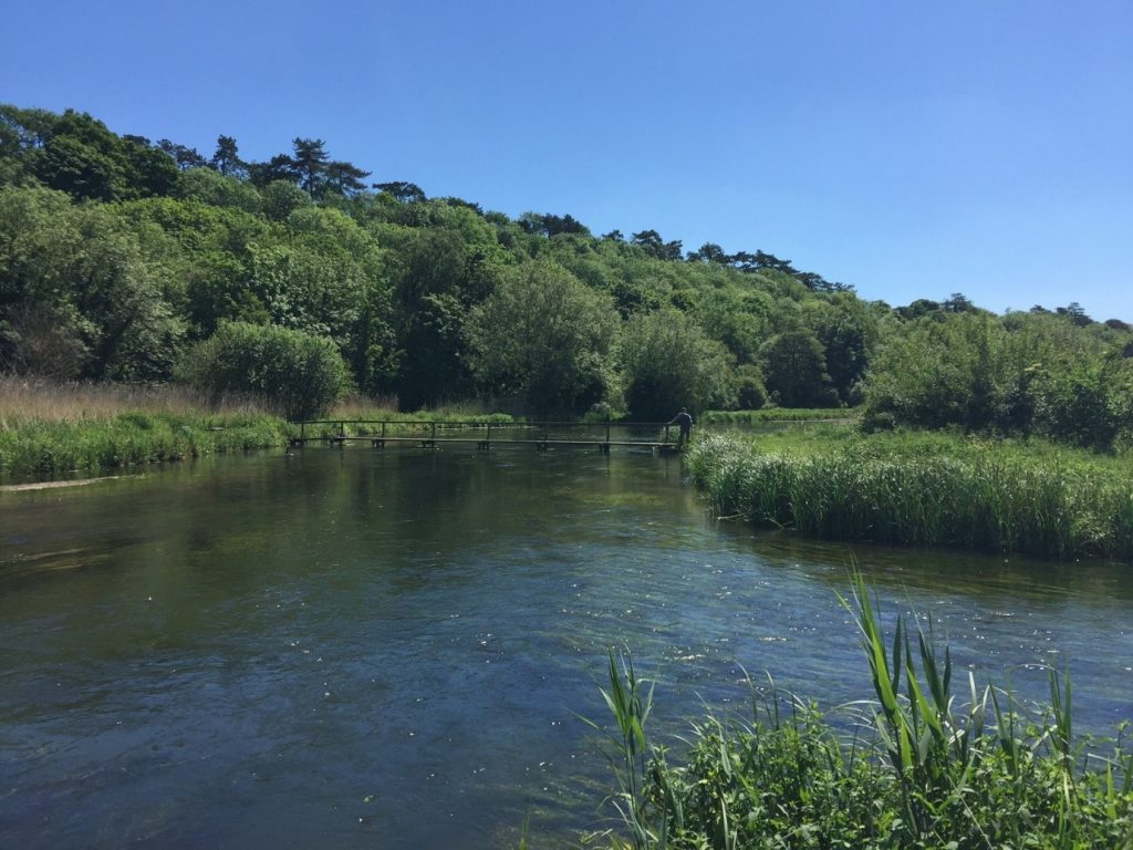 Nice to be on the water instead of just admiring it from a bridge!