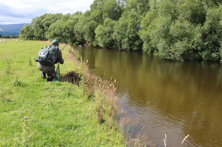 The first flush of dirty water made spotting difficult.
