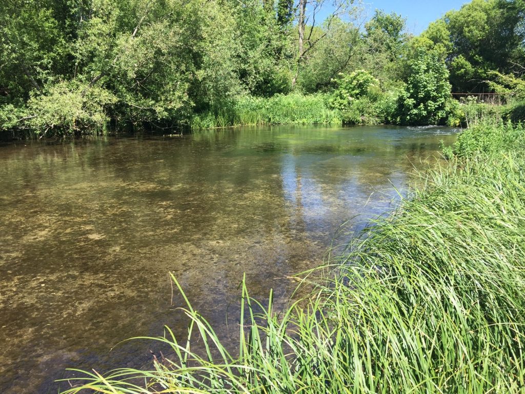 More idyllic water - there's not much else on the Test!