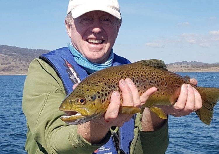Lovely condition browns