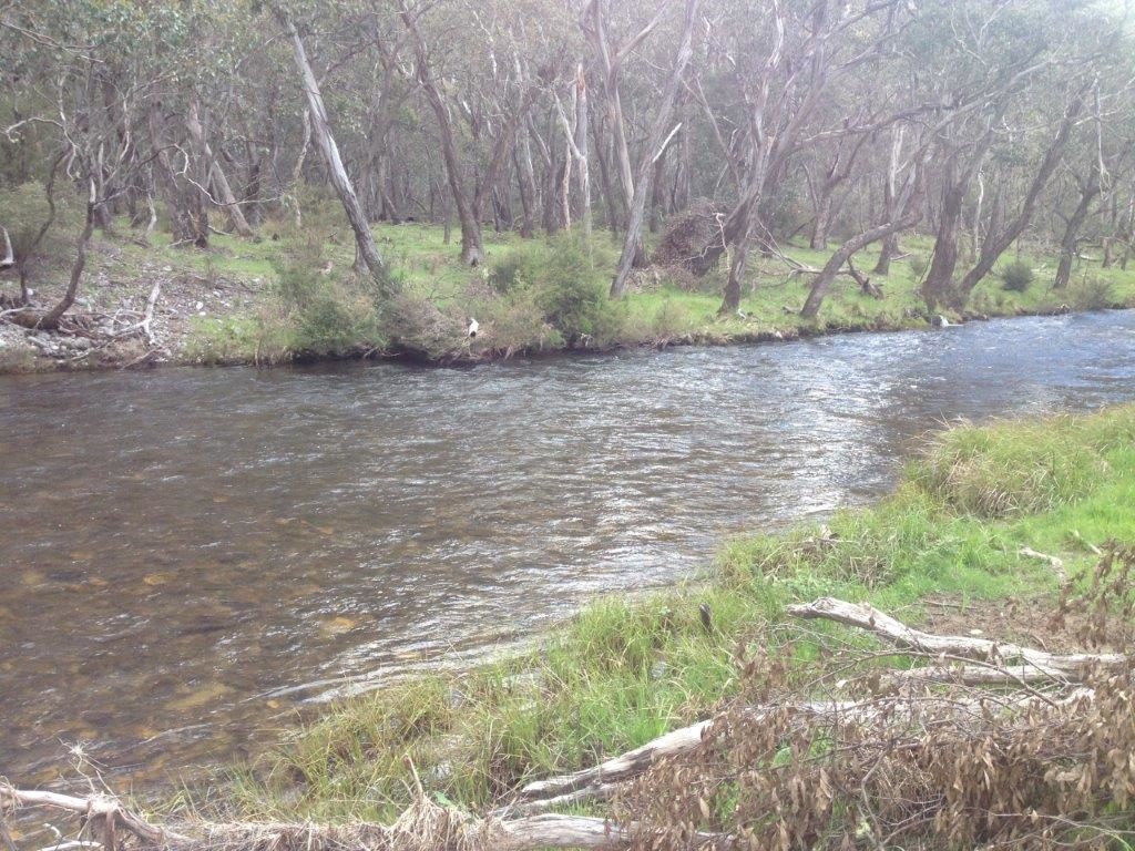 Big water, but clear.