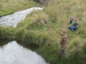 Ado creek